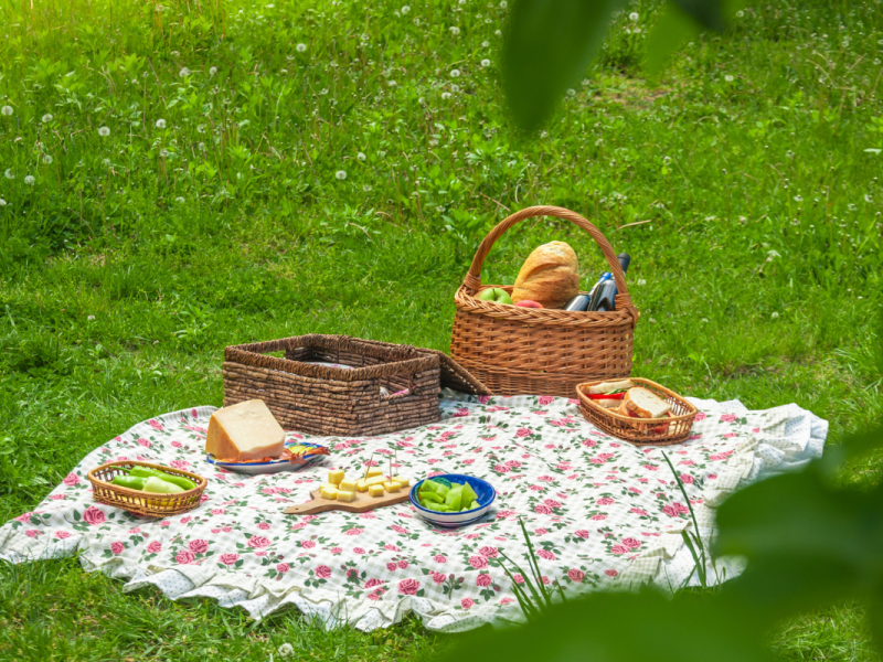 Picknick appartement amsterdam